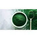 CHLORELLA