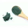 SPIRULINA